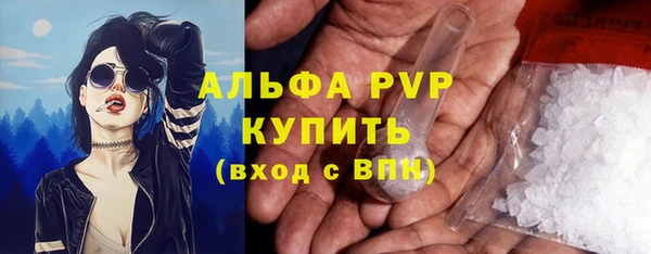 молекула духа Волоколамск