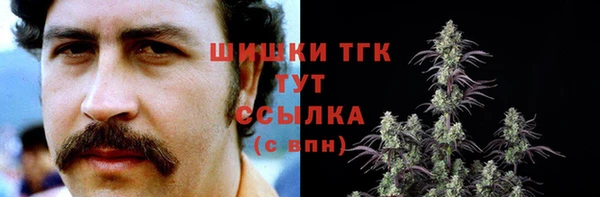 молекула духа Волоколамск