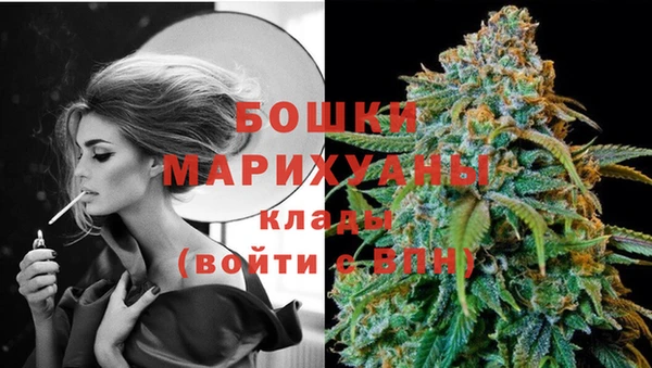 молекула духа Волоколамск