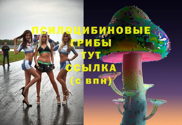 молекула духа Волоколамск