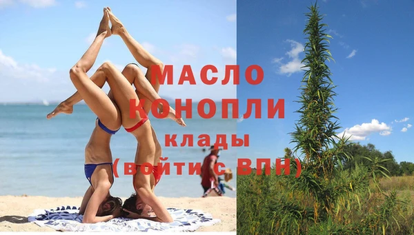 молекула духа Волоколамск