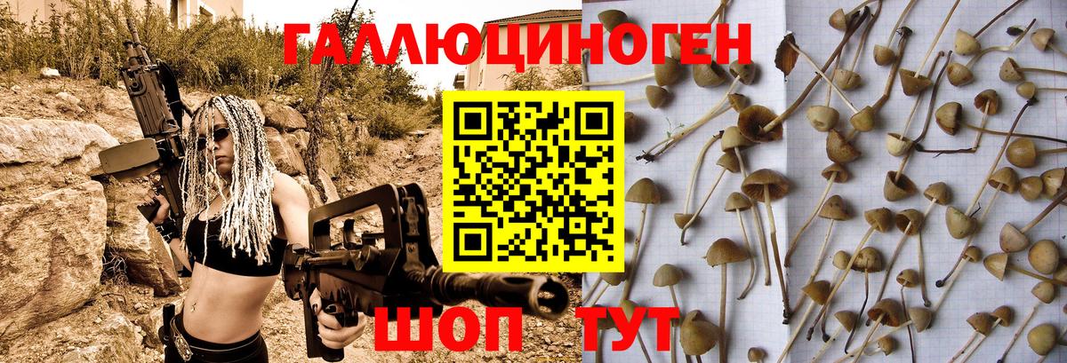 Галлюциногенные грибы Cubensis  закладки  Вязники  Вход с VPN 